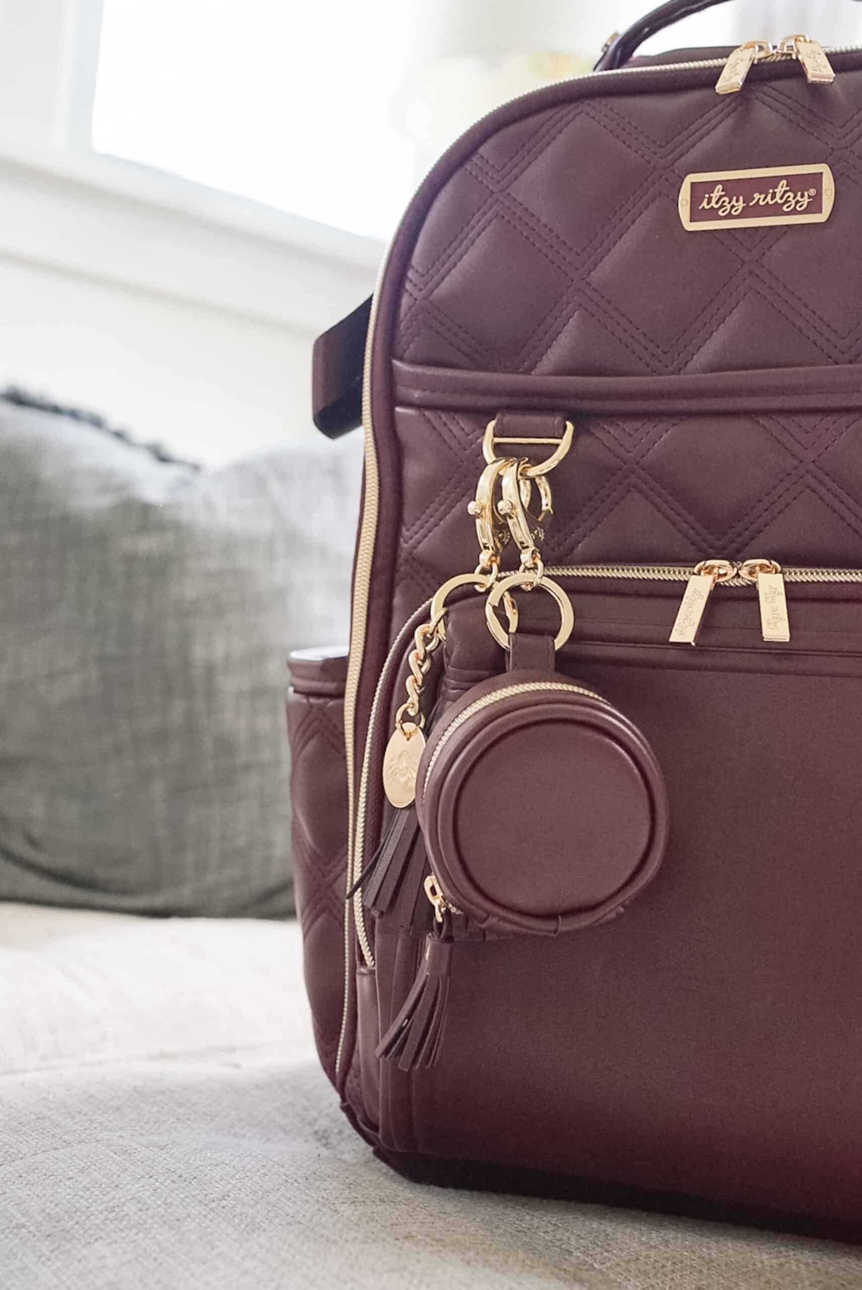 Itzy-Ritzy-Diaper-Bag-Accessories-Pacifier-Case-CP8370-Charm-Pod-The-Monarch-1-scaled