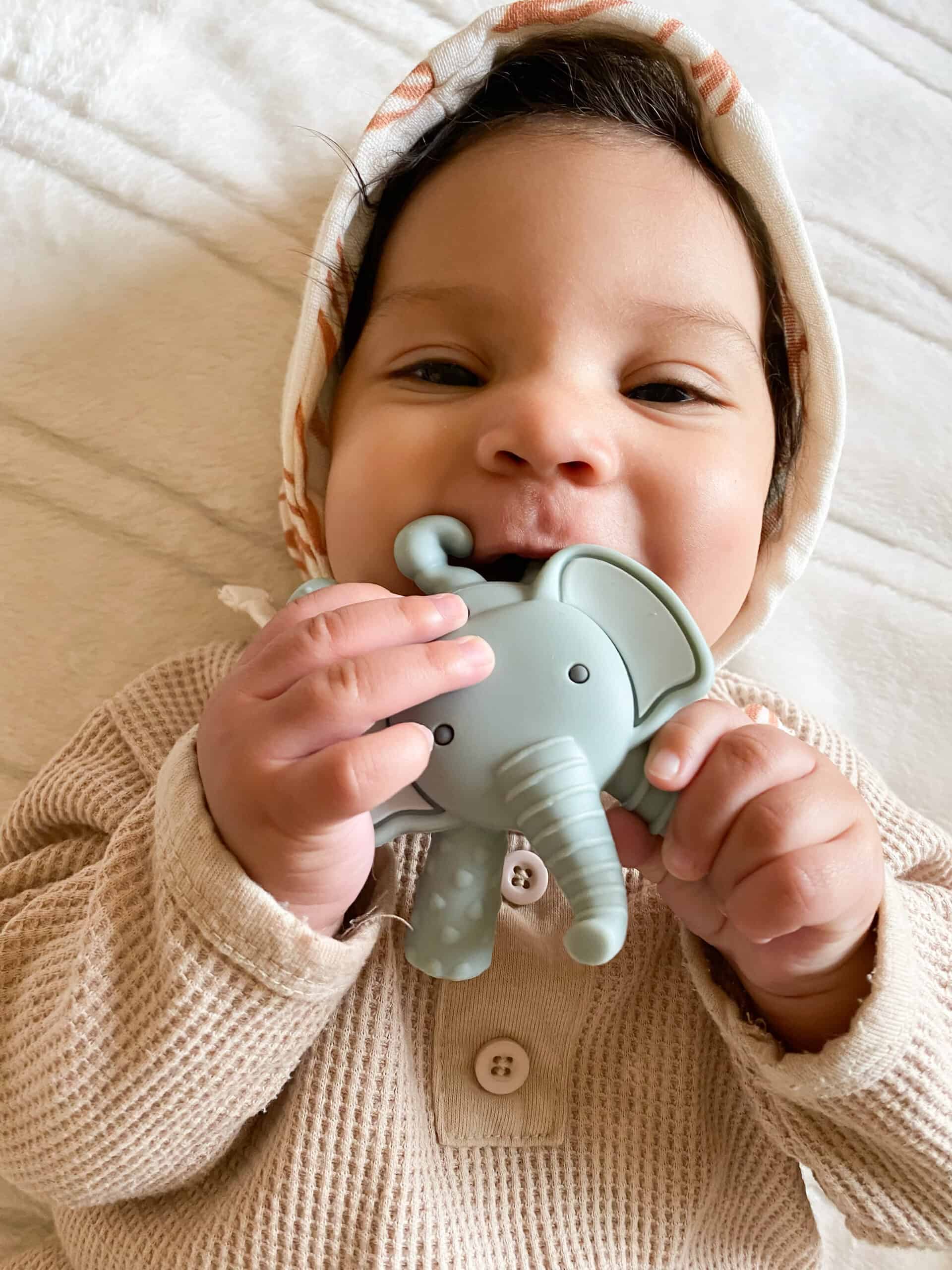 Itzy-Ritzy-RZT8469-Ritzy-Teether-Emmerson-the-Elephant-10-scaled