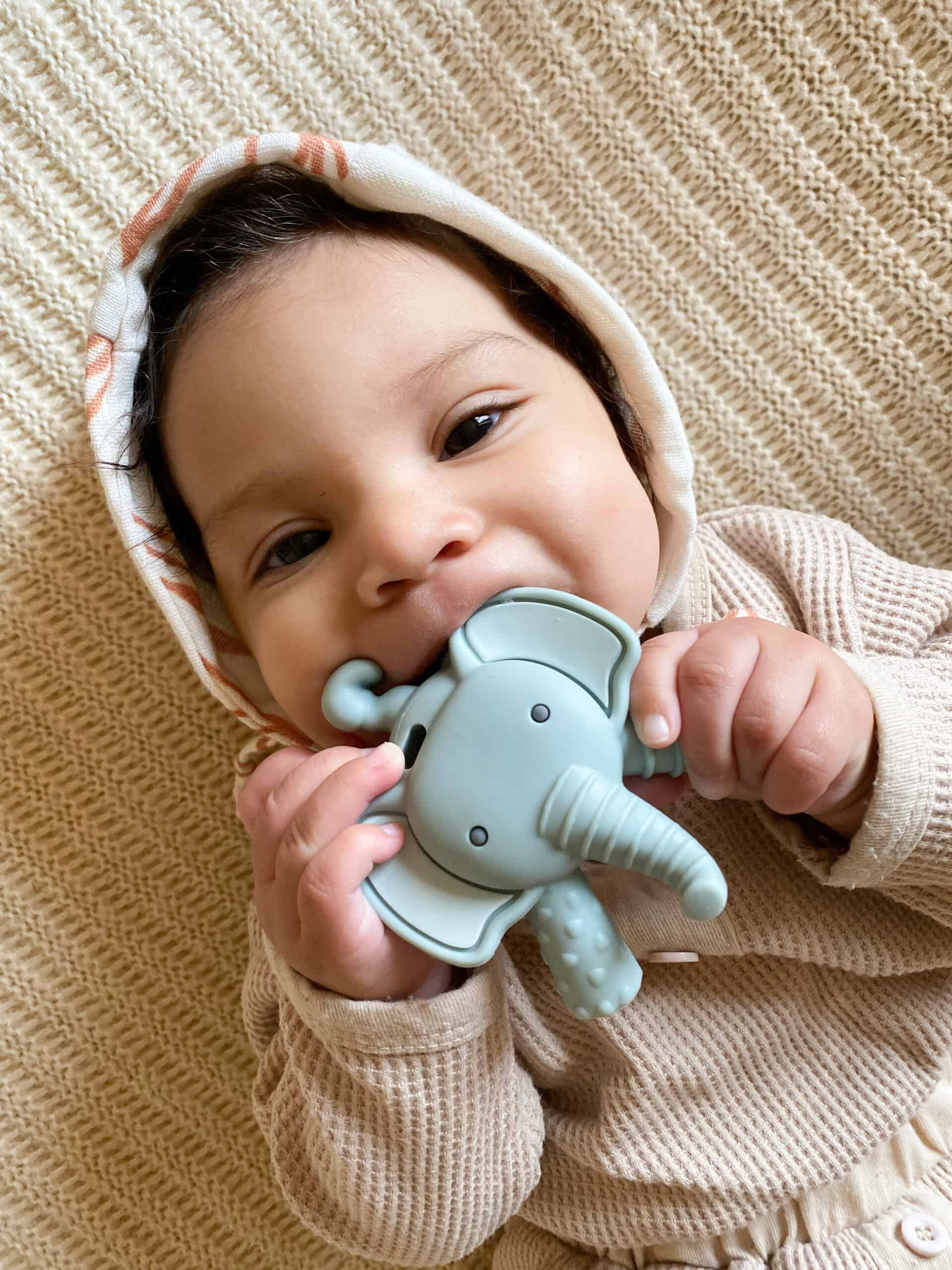 Itzy-Ritzy-RZT8469-Ritzy-Teether-Emmerson-the-Elephant-15-scaled