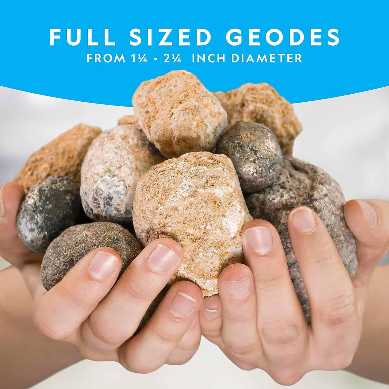 NATIONAL GEOGRAPHIC Break Open 10 Premium Geodes (3) A person holds several National Geographic Break Open 10 Premium Geodes of varying sizes, measuring from 1.5 to 2.5 inches in diameter, against a blue background with text detailing the size range.