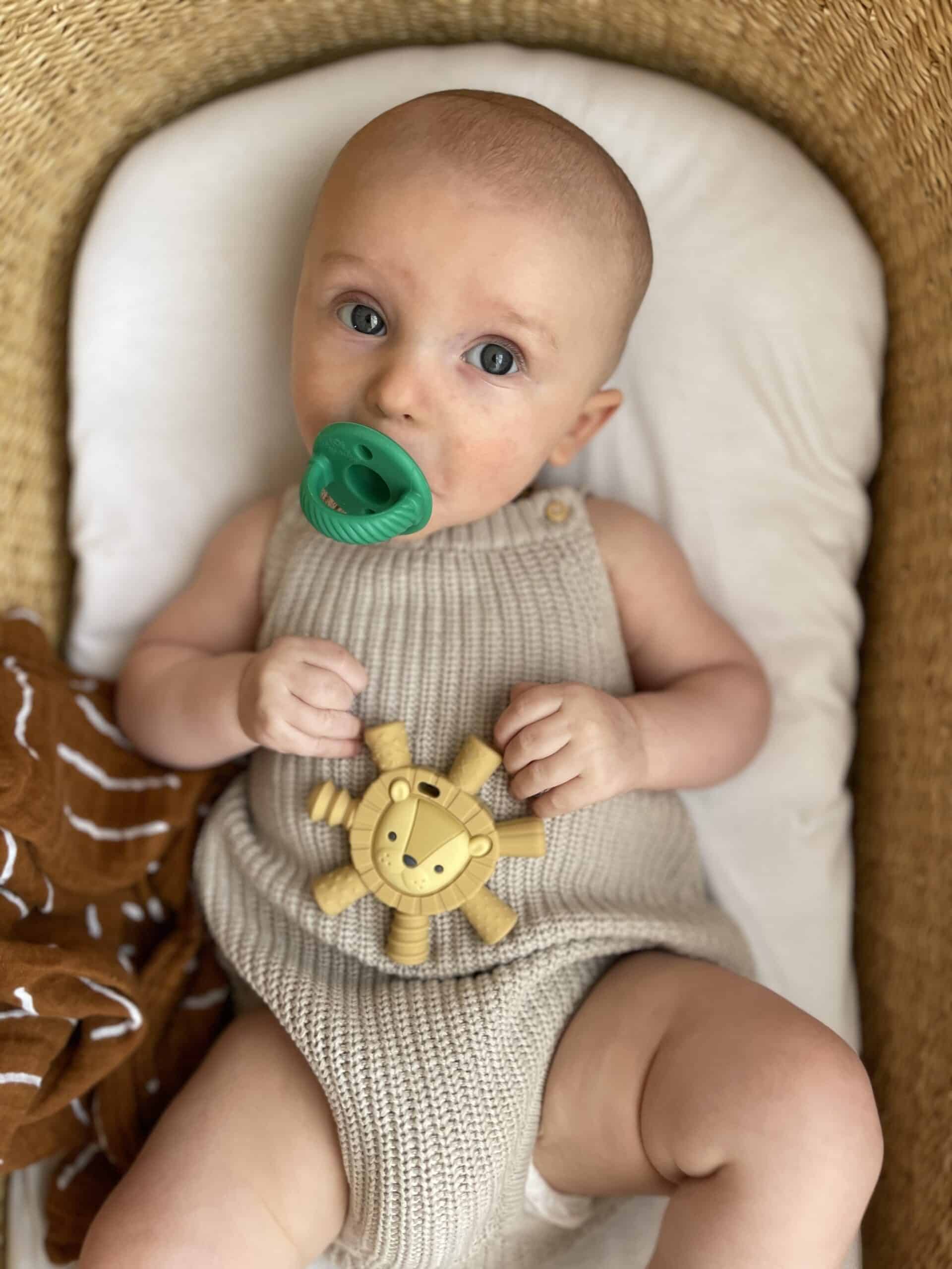 f-13-1-10864800_BjU2waqj_7D7455CD-D921-41FC-9BD4-543F58783189-scaled