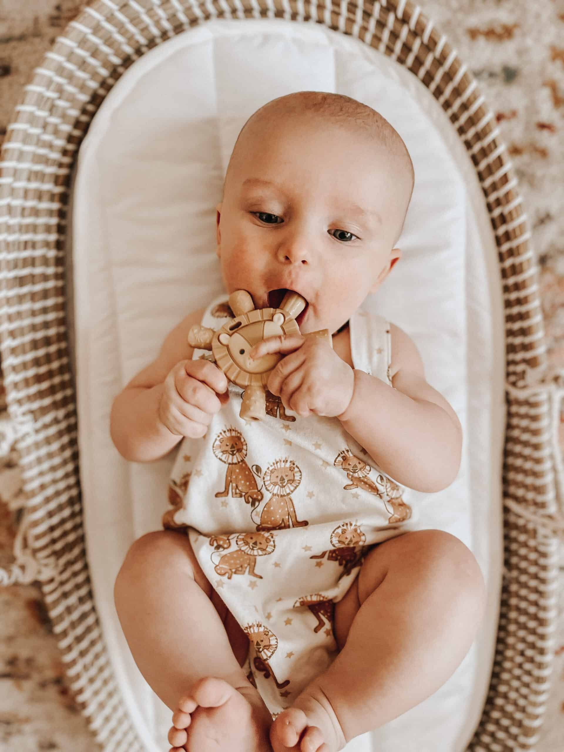 f-13-1-10864800_McW0pyq9_491FFF5A-5C12-4F1B-840B-0CCE20C0E4AC-scaled